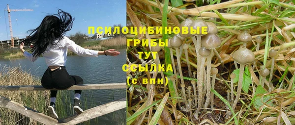 прущий лед Белоозёрский