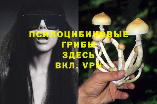 стафф Беломорск