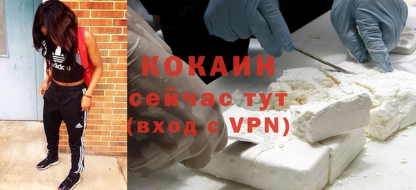 мяу мяу мука Белокуриха