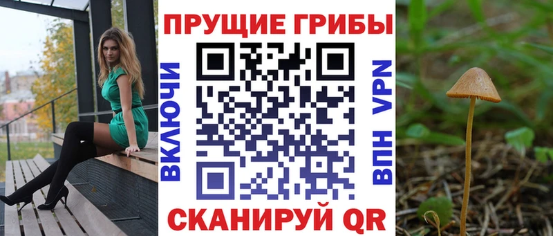Купить где  Серпухов  Псилоцибиновые грибы прущие грибы 
